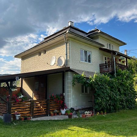 Casa Danut Vila Vidra  Exterior foto